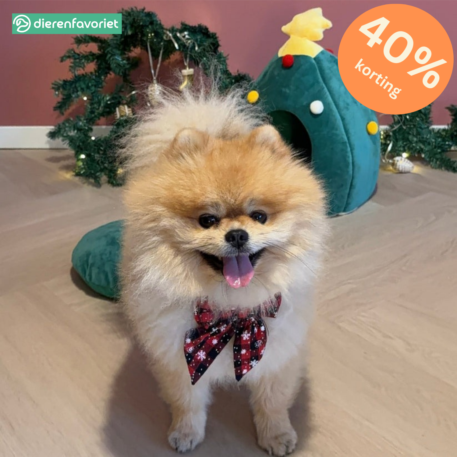 MerryPaws | Schattige Feeststrik Hondenhalsband