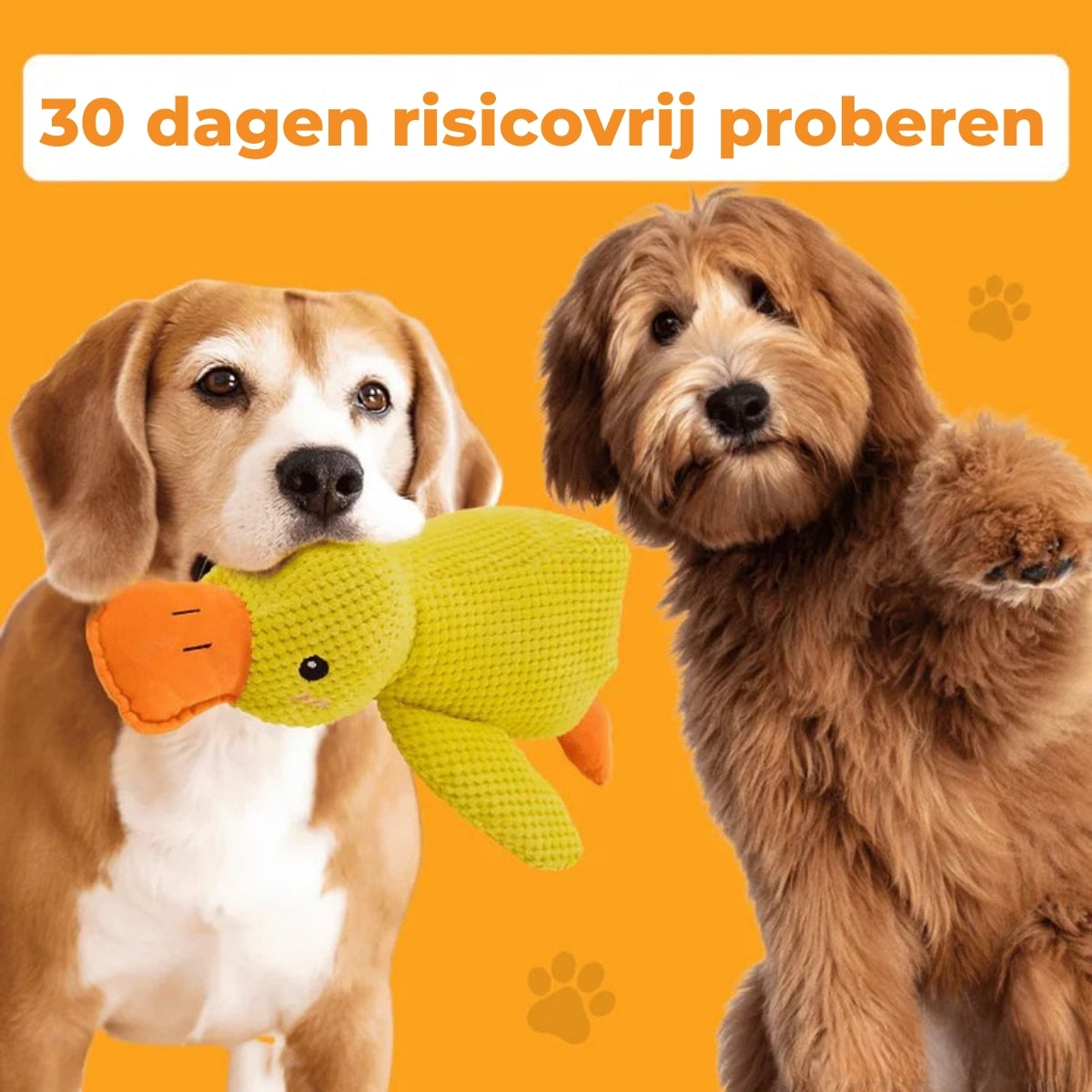 QuackBuddy | Anti-Stress Speelgoed voor Honden