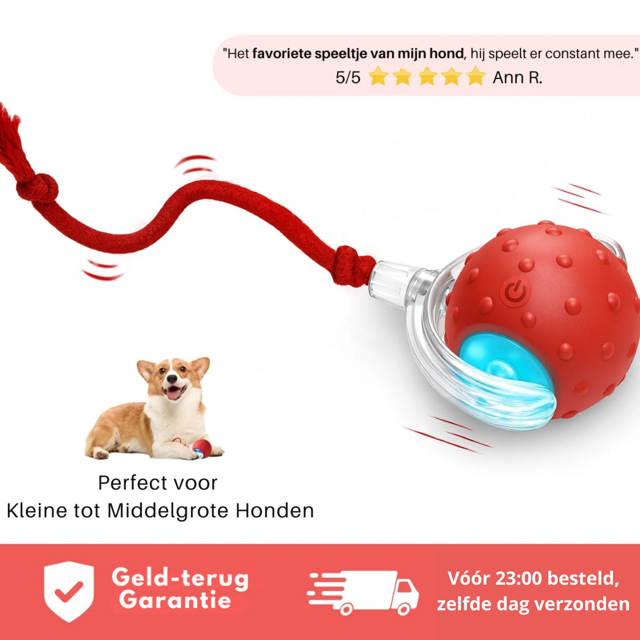 ProoiPret | Eindeloos plezier, zelfs als je niet thuis bent